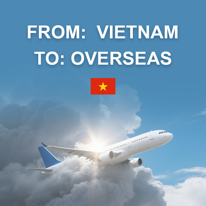 EXW DDU DAP DDP Air Freight Logistics From Vietnam To Overseas Door To Door