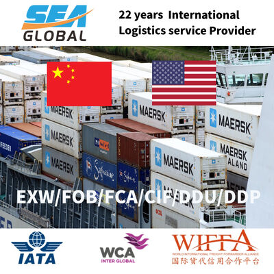 Professional LCL Logistics and Sea Freight LCL with Door-to-Door Service, Customs Clearance Included, and 24/7 Online Support