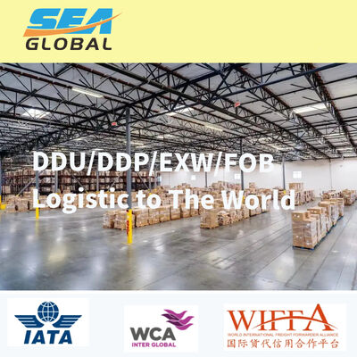 IMDG IATA ADR Compliant Dangerous Goods Freight Forwarder with Temperature Controlled Warehousing and UN Certified Packaging