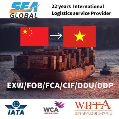 China to Southeast Asia LCL Ocean Freight|| DDP/DDU Door to Door shipping
