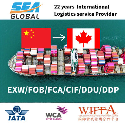 China to USA/Canada Maritime Ocean Freight | DDP Forwarder & Cargo Ship Service