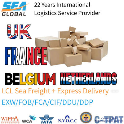 Ocean Freight Forwarder Shipping Agent for LCL Logistics Ex-works FOB with Customs Clearance