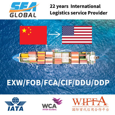 Dangerous Goods Freight Forwarder with Real-time Tracking